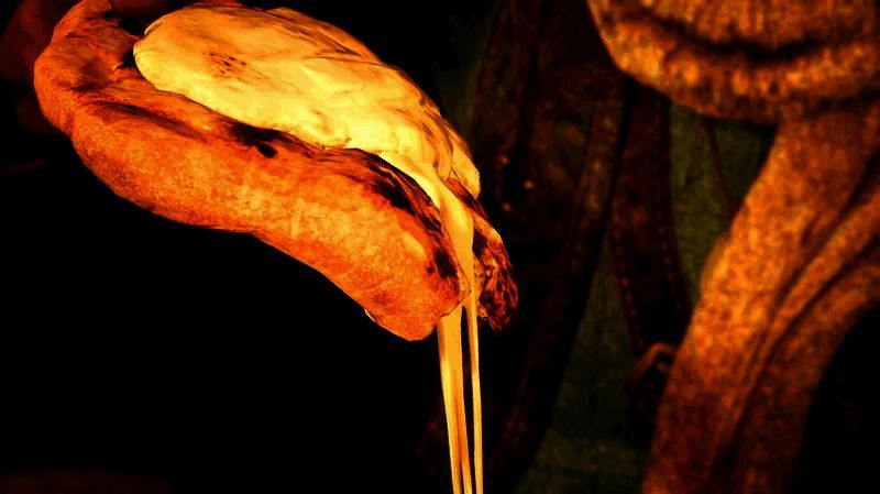 《怪物猎人:荒野》游戏画面