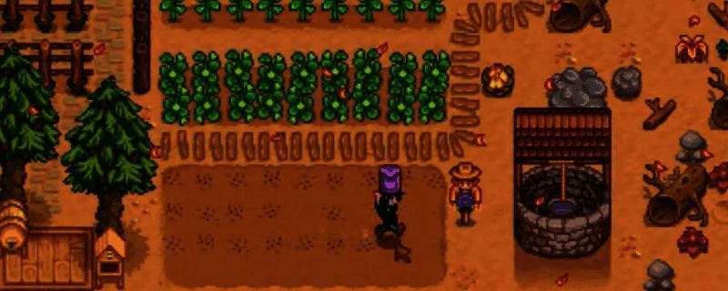 星露谷物语钓鱼场景图片