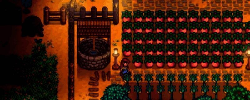 星露谷物语鱼店外观