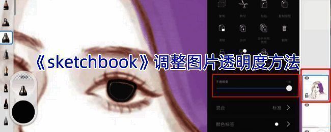 软件操作相关配图