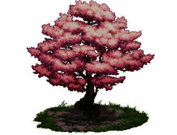 与蓓娜丽一起赏花变身道具外观图