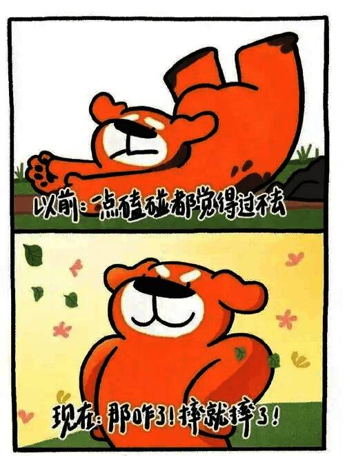 那咋了梗相关配图5