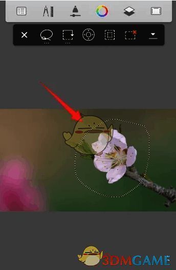 用选择工具框选图形