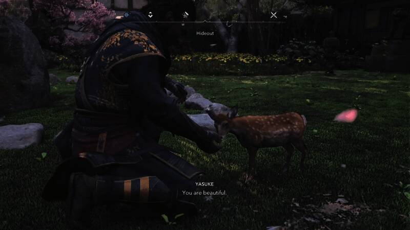 《刺客信条：影》藏身处收养宠物画面