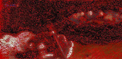 昆曲表演动态图2