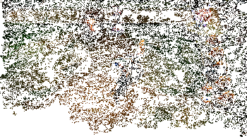 拉亚斯特实战效果动图