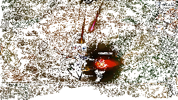 崔斯特实战效果动图