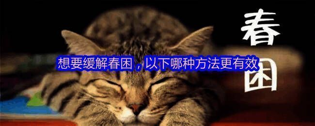 支付宝蚂蚁庄园相关图片