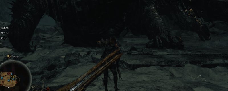 《怪物猎人：荒野》骑乘怪物场景图