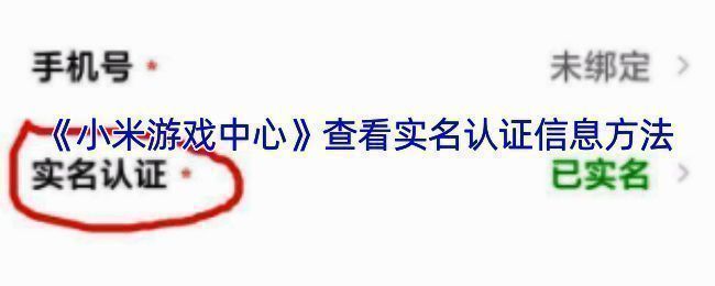游戏中心实名认证相关页面示例