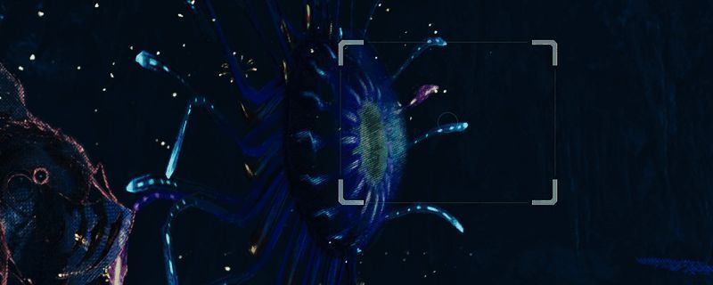 涌油谷景象示意图片