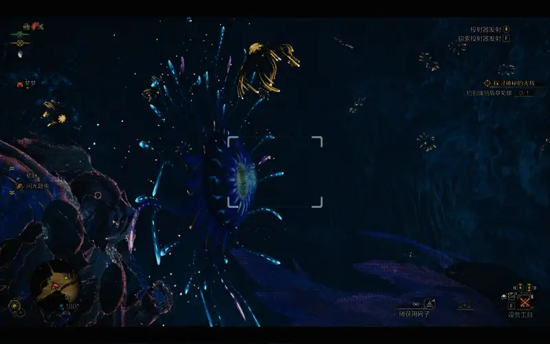 望花水母具体位置图一