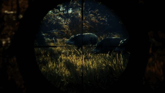 《猎人：荒野的召唤》游戏画面3