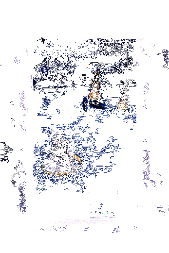 樱花妖新皮肤·浮樱咏夜动态图3