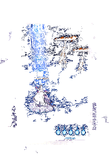 樱花妖新皮肤·浮樱咏夜动态图4