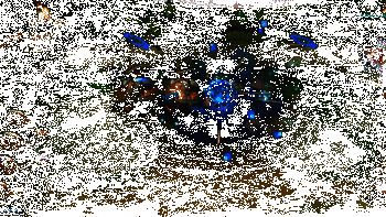 可酷伯实战效果动图