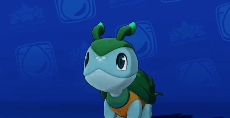 洛克王国世界乌龟相关图片4