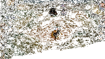 纳亚菲利实战动图