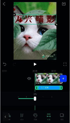 改变字幕文字颜色界面图