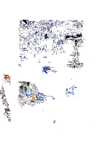 风狸新皮肤动态展示3