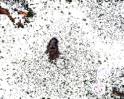 薰技能效果动图5