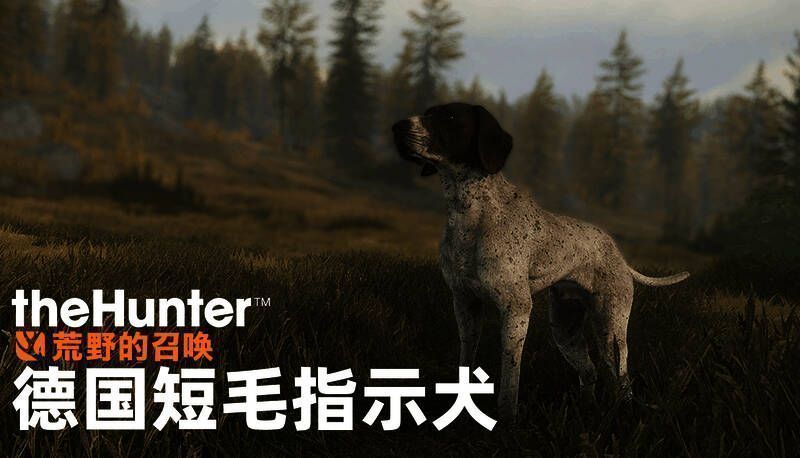 德国短毛指示犬DLC宣传图