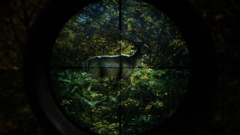 《猎人：荒野的召唤》折扣促销宣传图