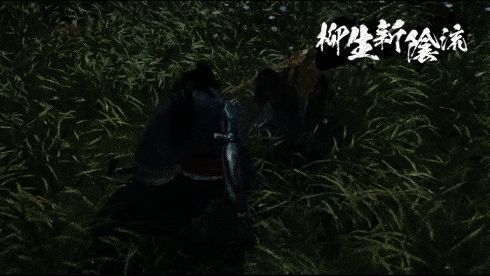 柳生新阴流技能展示动图1