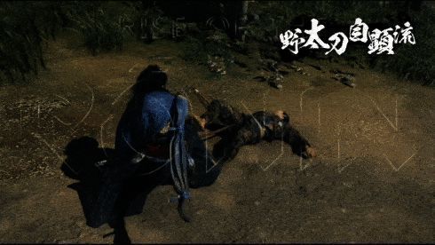 柳生新阴流技能展示动图2