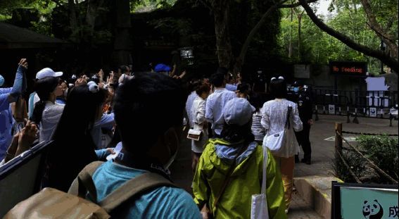 全民顶流女明星相关场景图