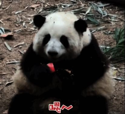 以闪亮之名公益活动相关图