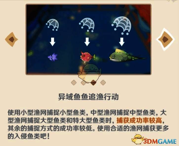 不同大小鱼对应渔网选择图片