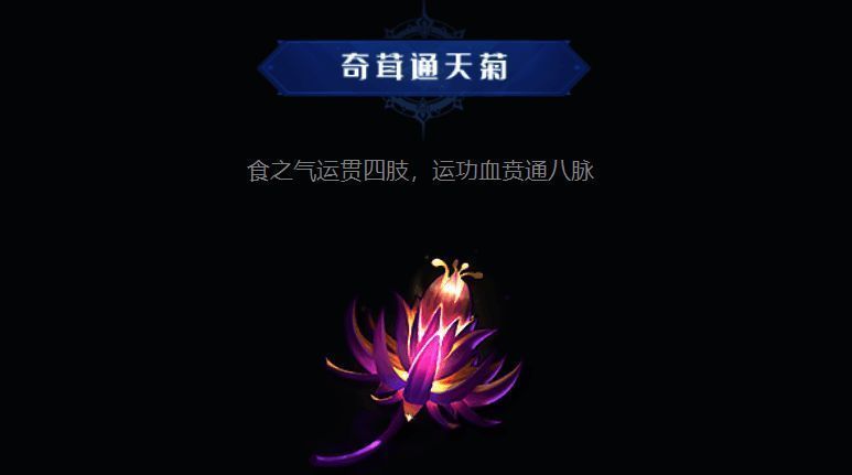 八角玄冰草图片