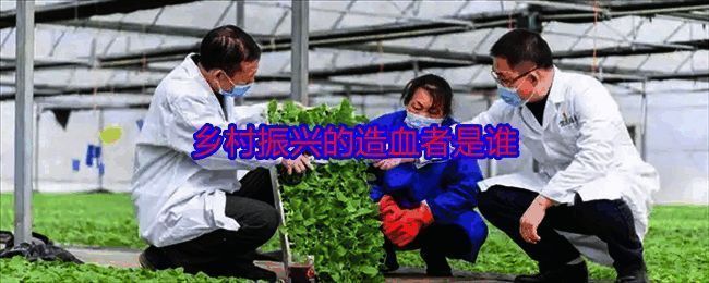 支付宝蚂蚁庄园相关图片