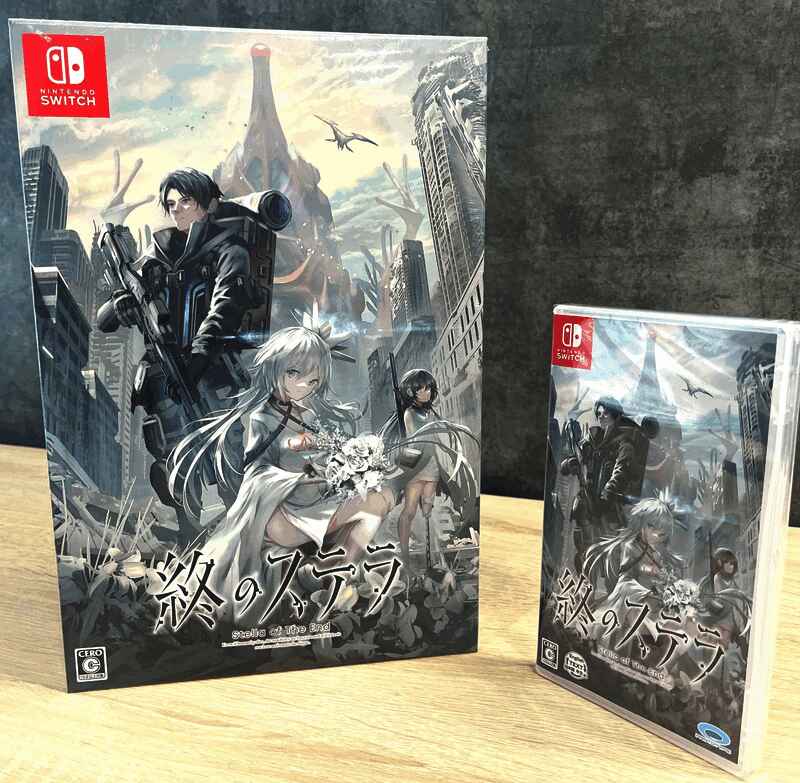 《星之终途》Switch版相关画面