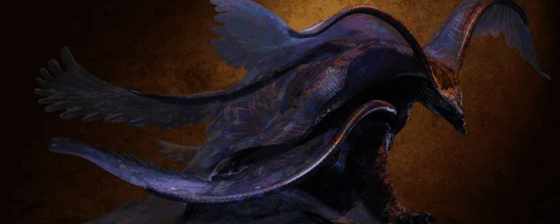 波衣龙相关图片1