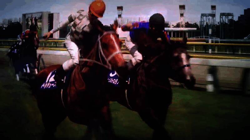 《赛马大亨10 2025》视频截图2