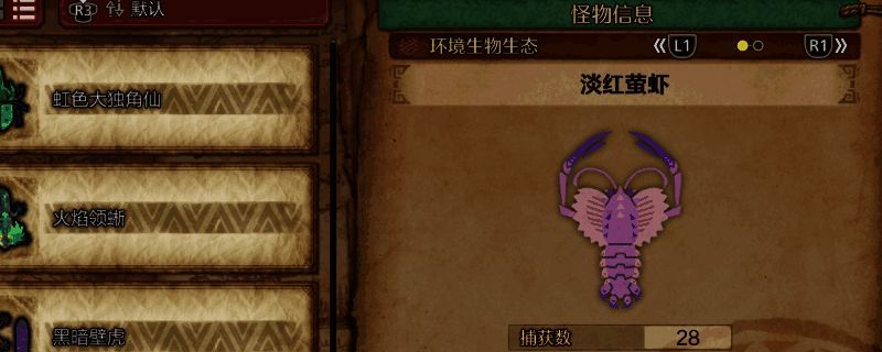 淡红萤虾相关图片1