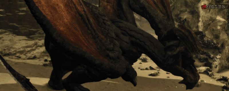 《怪物猎人：荒野》中毒怪鸟的图片