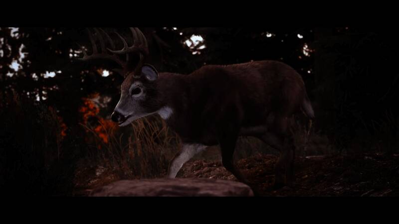 《模拟狩猎3》视频截图2