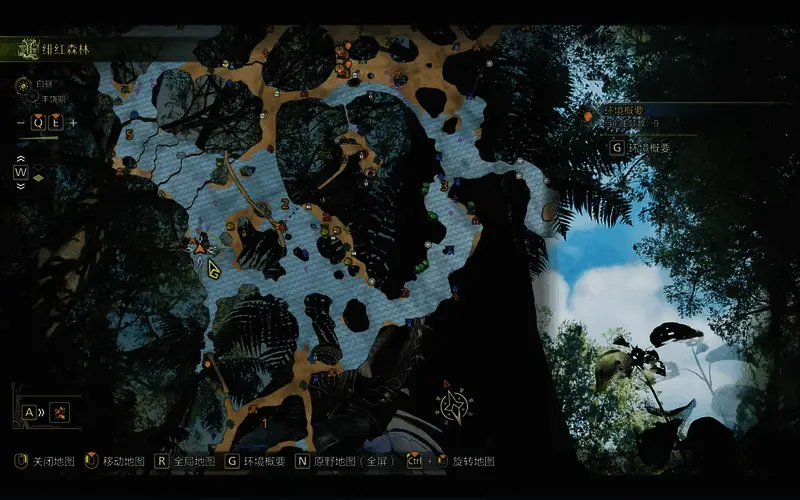 怪物猎人荒野独角仙具体位置图二