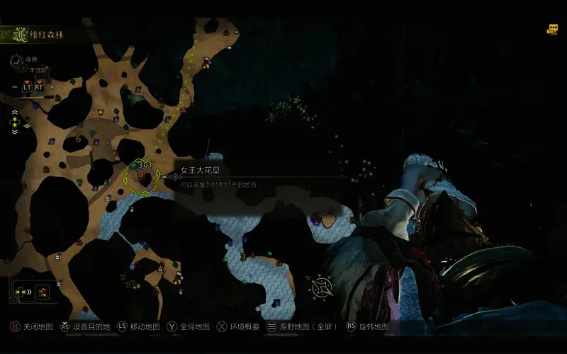 女王花的蛊惑粉相关图片