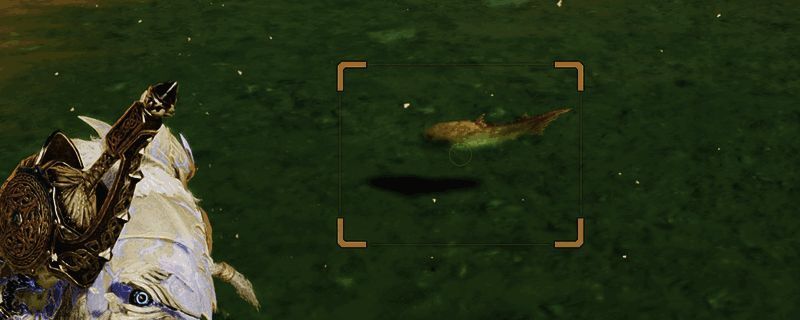 《怪物猎人：荒野》相关场景图