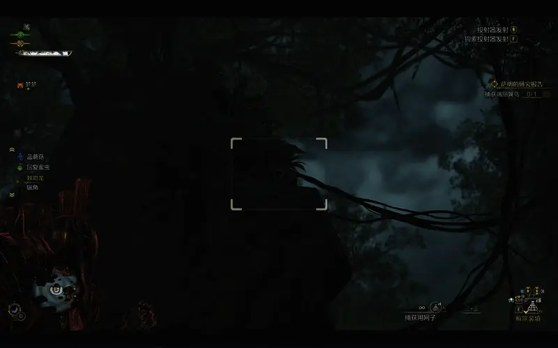 绚烂翼鸟所在位置参考图1