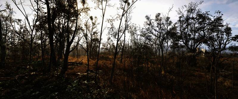 《潜行者2》游戏摄影作品5