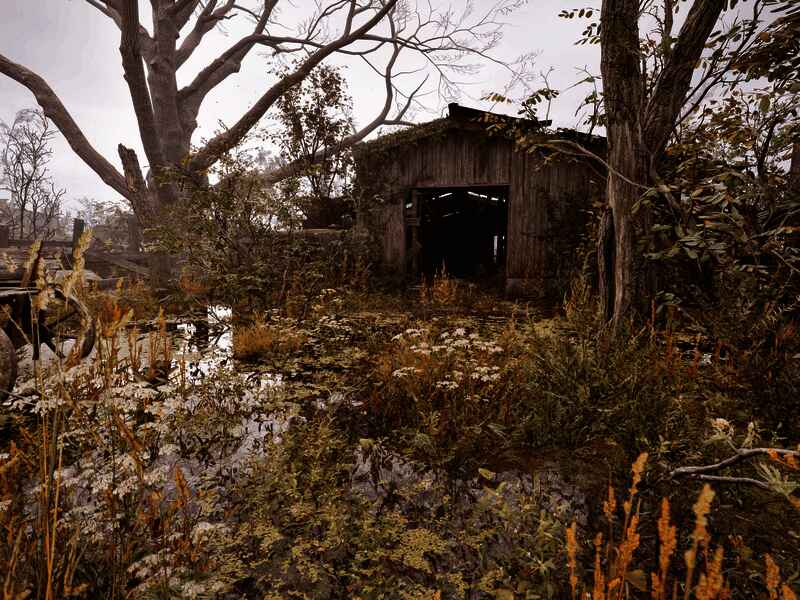 《潜行者2》游戏摄影作品10