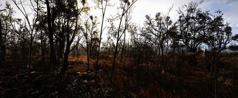 《潜行者2》游戏摄影作品12