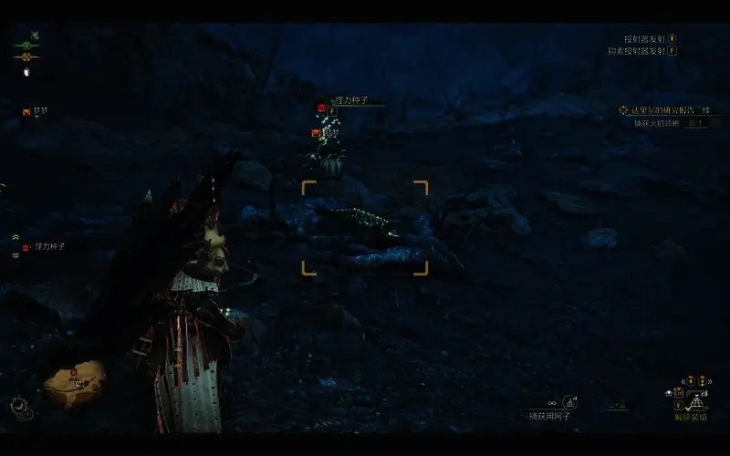 火焰领蜥具体位置图1