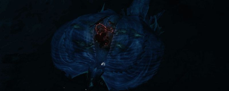 风铗龙相关图片