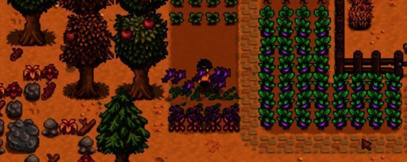 星露谷物语旅行货车相关画面